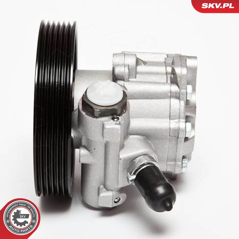 Ilustracja 10SKV023 ESEN SKV pompa hydrauliczna, układ kierowniczy