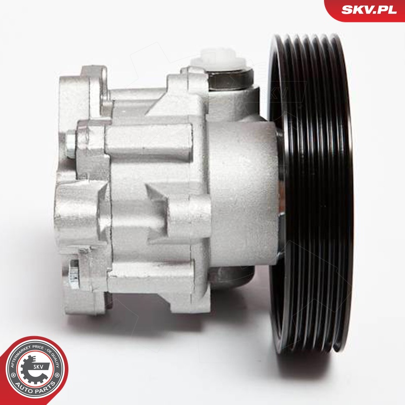 Ilustracja 10SKV023 ESEN SKV pompa hydrauliczna, układ kierowniczy