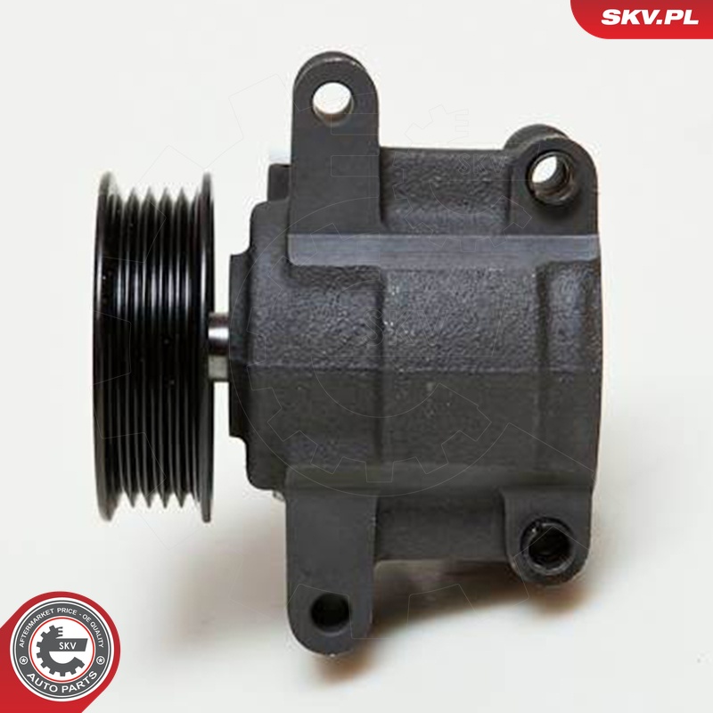 Ilustracja 10SKV035 ESEN SKV pompa hydrauliczna, układ kierowniczy