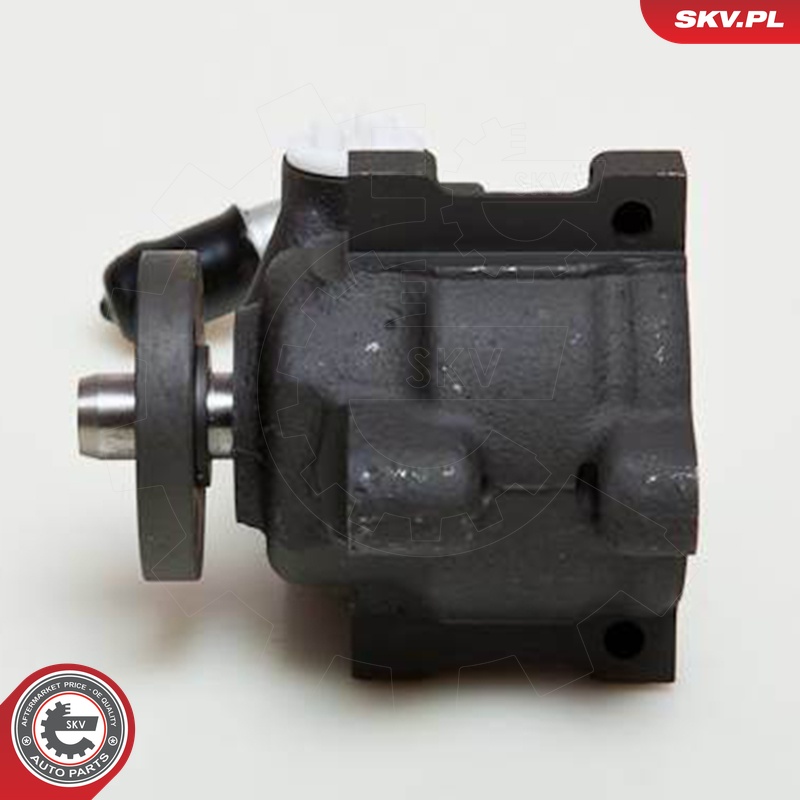 Ilustracja 10SKV036 ESEN SKV pompa hydrauliczna, układ kierowniczy