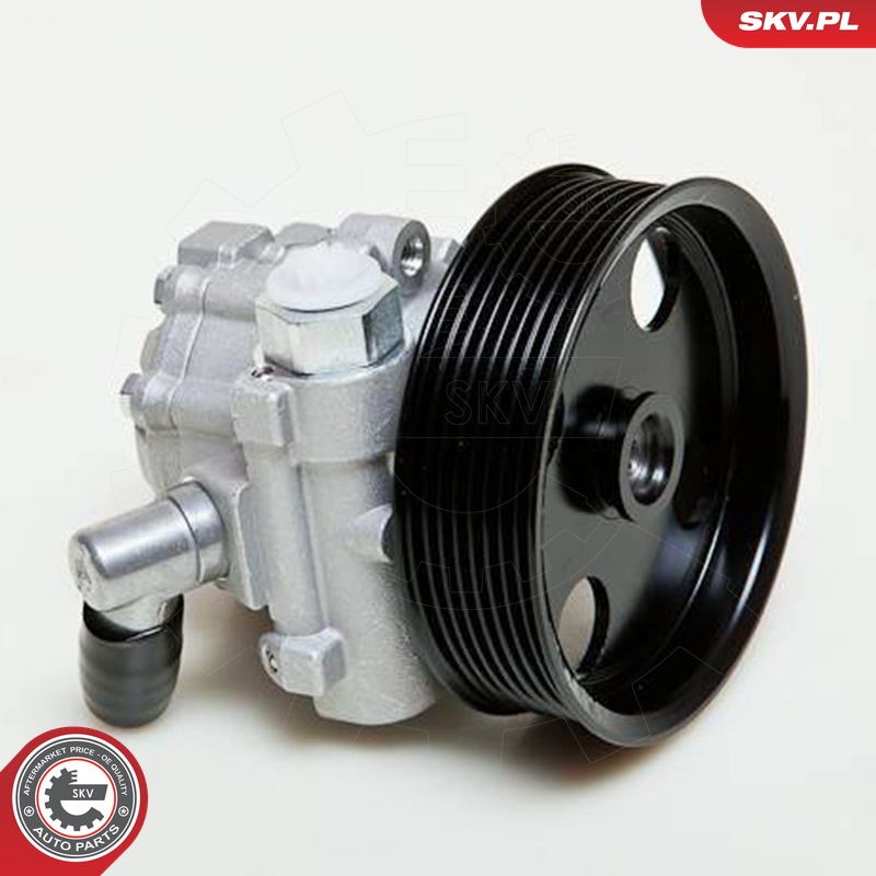 Ilustracja 10SKV039 ESEN SKV pompa hydrauliczna, układ kierowniczy