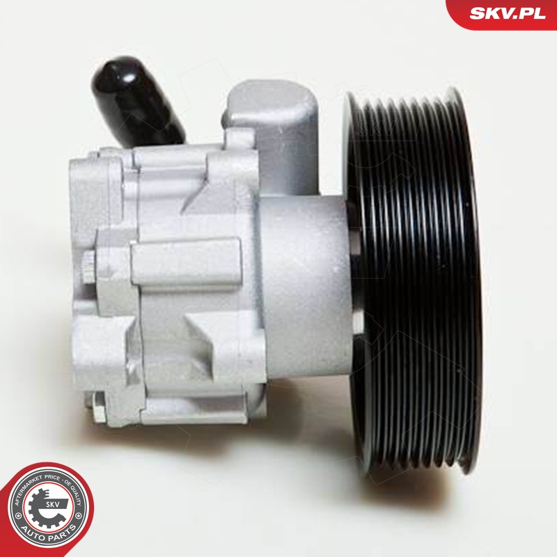 Ilustracja 10SKV039 ESEN SKV pompa hydrauliczna, układ kierowniczy
