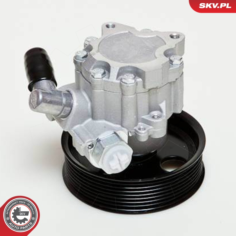 Ilustracja 10SKV039 ESEN SKV pompa hydrauliczna, układ kierowniczy