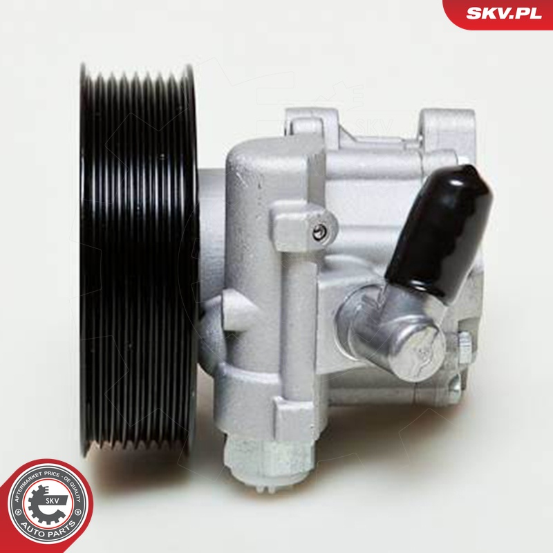 Ilustracja 10SKV039 ESEN SKV pompa hydrauliczna, układ kierowniczy
