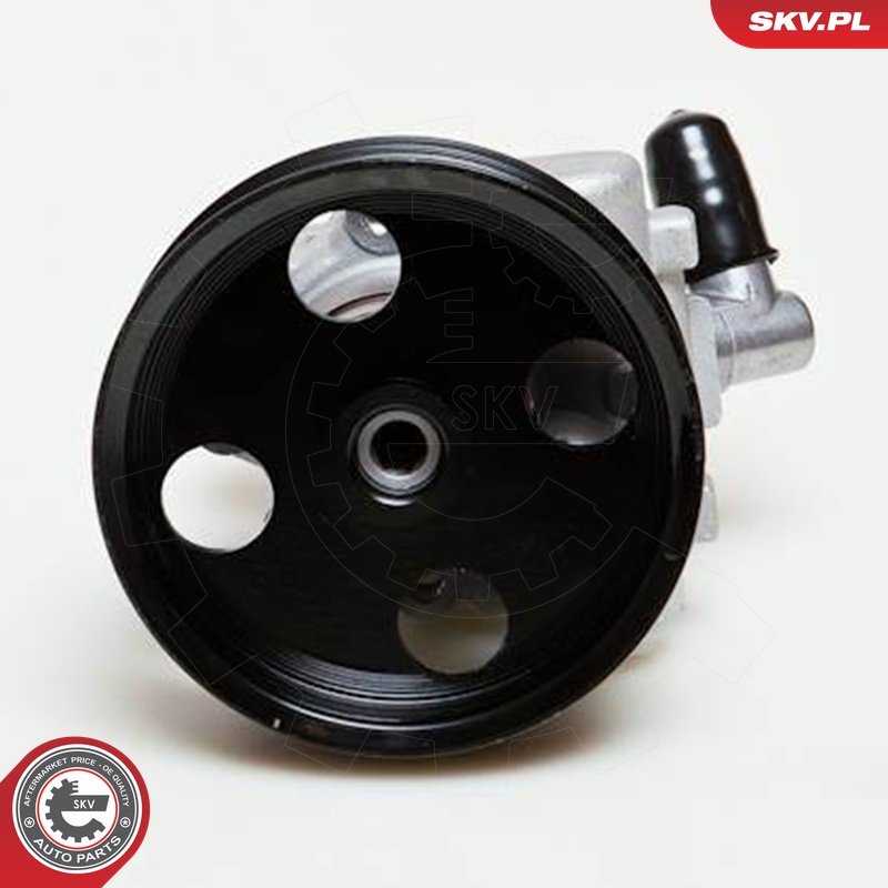 Ilustracja 10SKV039 ESEN SKV pompa hydrauliczna, układ kierowniczy