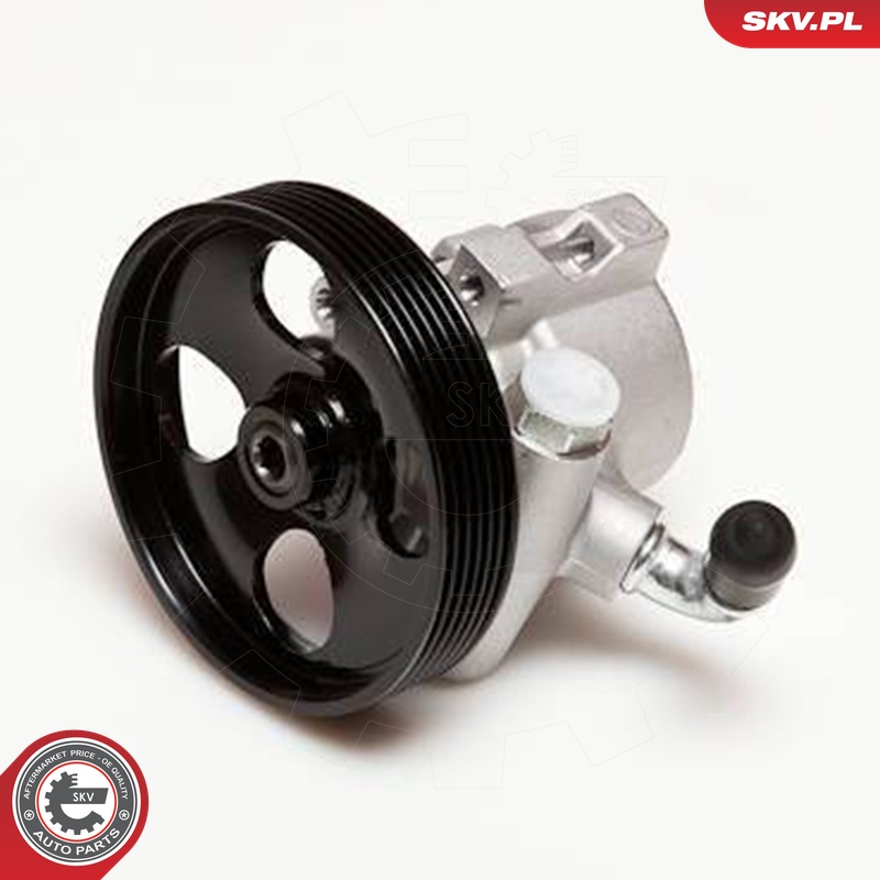 Ilustracja 10SKV031 ESEN SKV pompa hydrauliczna, układ kierowniczy