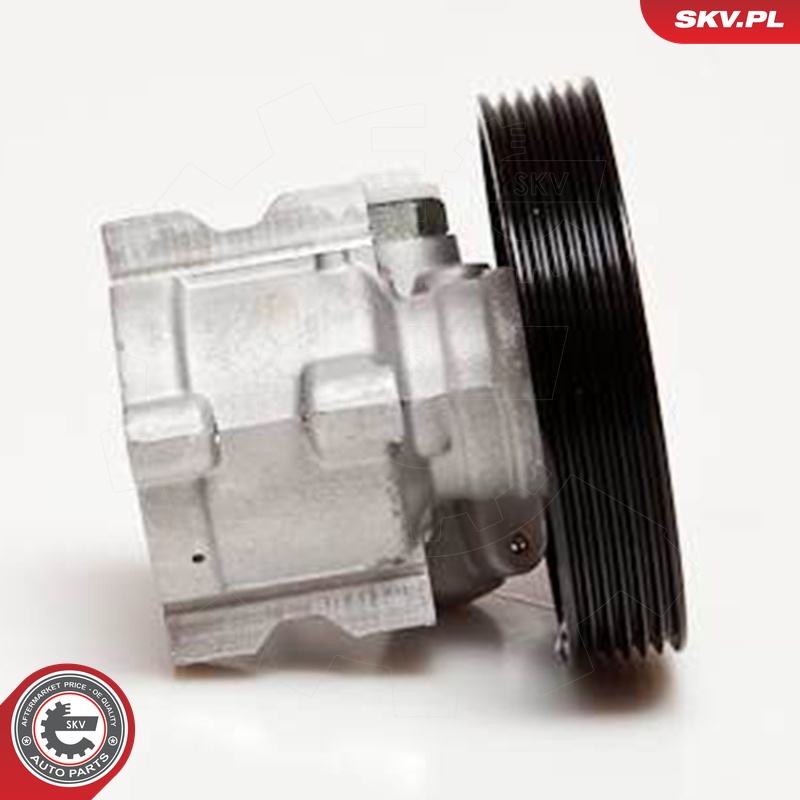 Ilustracja 10SKV031 ESEN SKV pompa hydrauliczna, układ kierowniczy