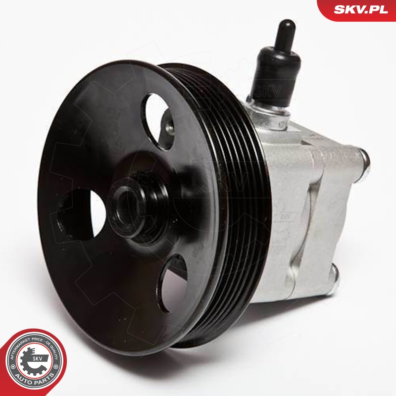 Ilustracja 10SKV033 ESEN SKV pompa hydrauliczna, układ kierowniczy