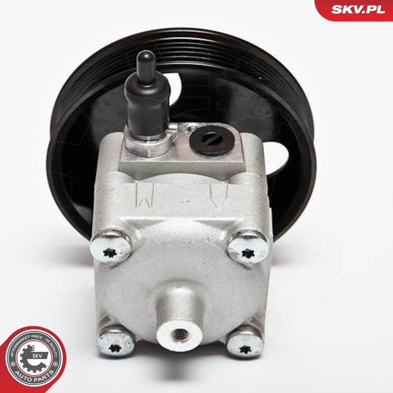 Ilustracja 10SKV033 ESEN SKV pompa hydrauliczna, układ kierowniczy