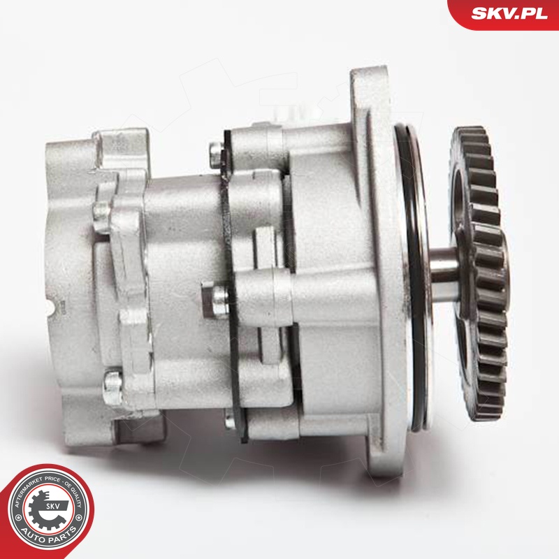 Ilustracja 10SKV045 ESEN SKV pompa hydrauliczna, układ kierowniczy