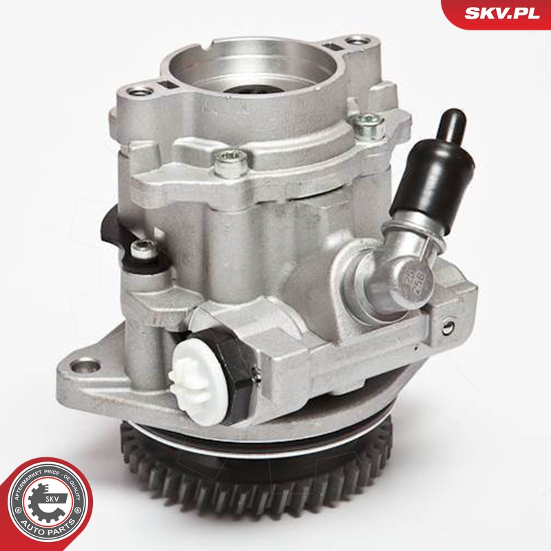 Ilustracja 10SKV045 ESEN SKV pompa hydrauliczna, układ kierowniczy