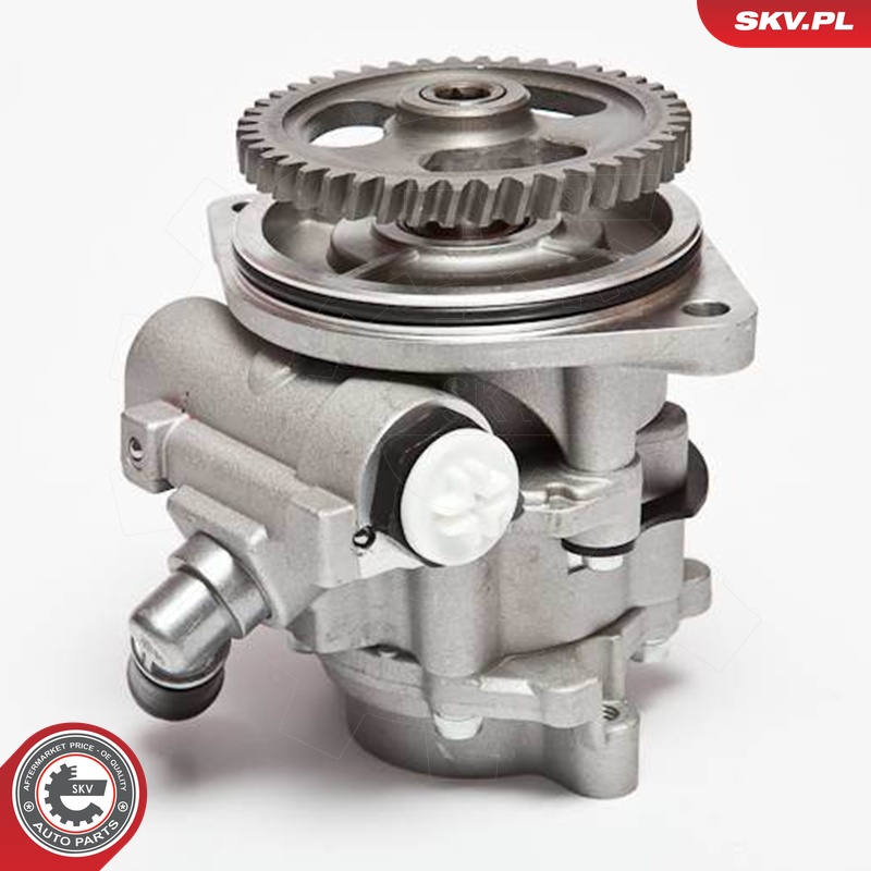 Ilustracja 10SKV045 ESEN SKV pompa hydrauliczna, układ kierowniczy