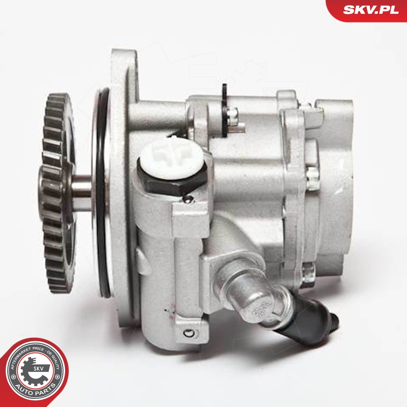 Ilustracja 10SKV045 ESEN SKV pompa hydrauliczna, układ kierowniczy