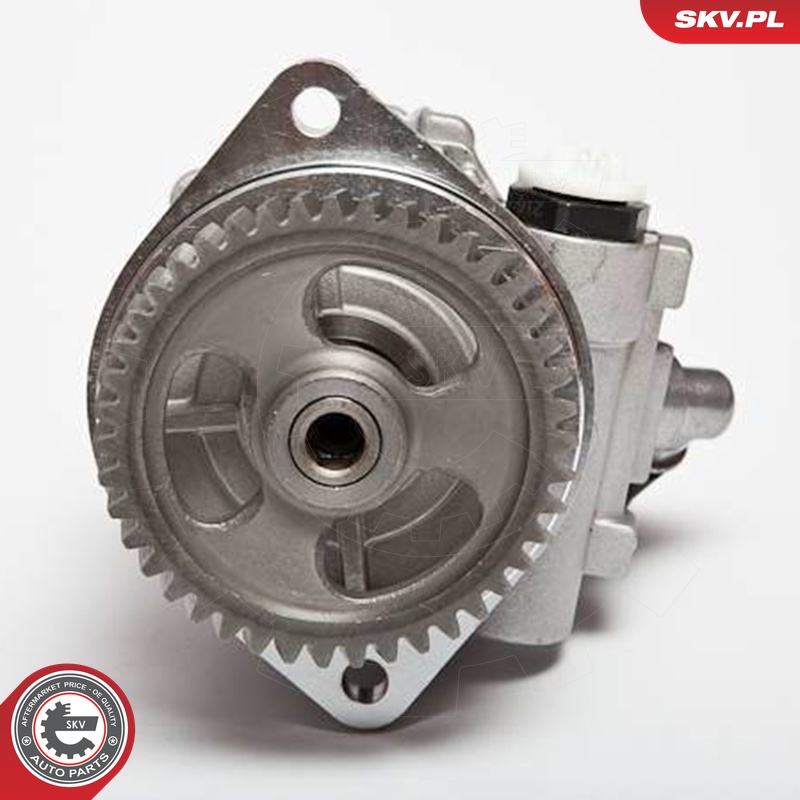 Ilustracja 10SKV045 ESEN SKV pompa hydrauliczna, układ kierowniczy