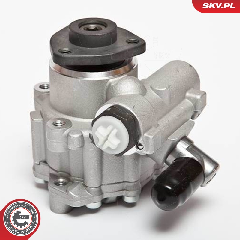 Ilustracja 10SKV043 ESEN SKV pompa hydrauliczna, układ kierowniczy