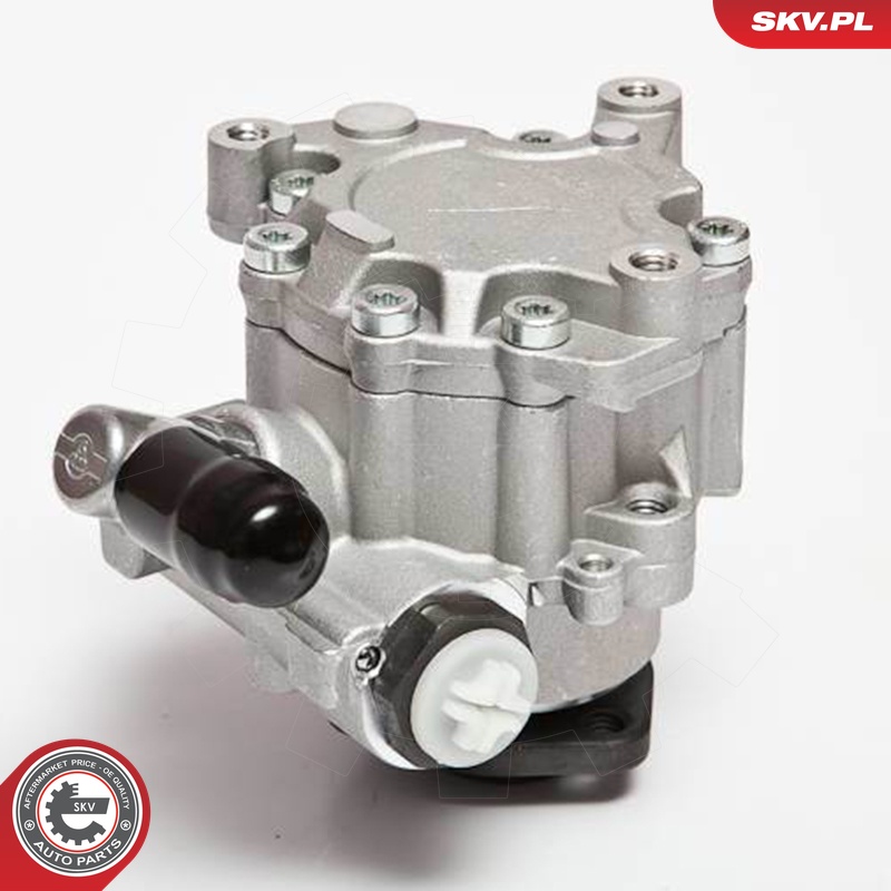 Ilustracja 10SKV043 ESEN SKV pompa hydrauliczna, układ kierowniczy