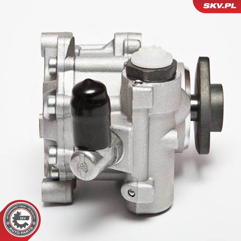 Ilustracja 10SKV043 ESEN SKV pompa hydrauliczna, układ kierowniczy