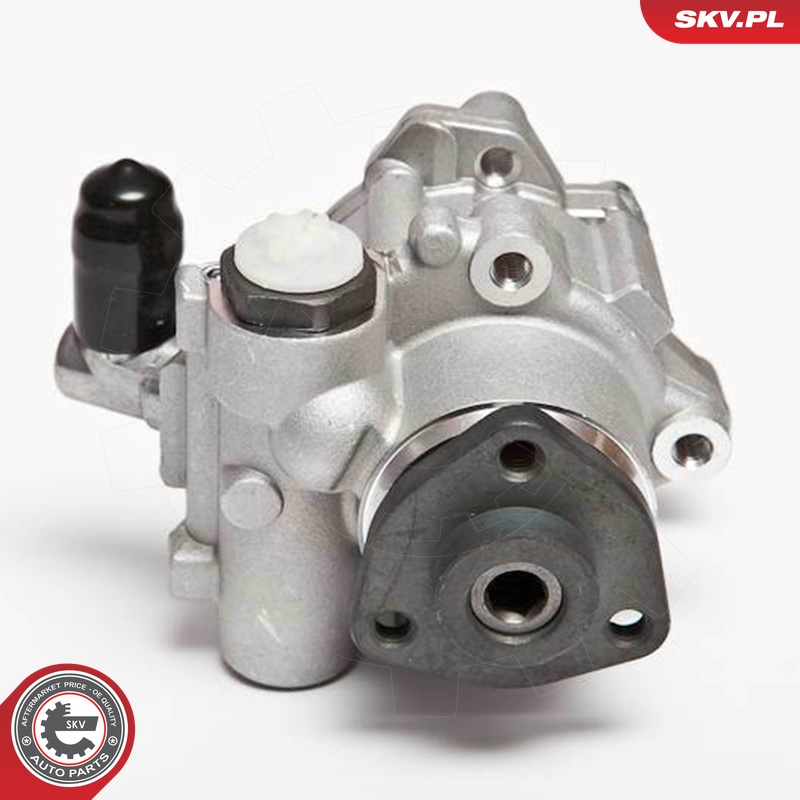 Ilustracja 10SKV043 ESEN SKV pompa hydrauliczna, układ kierowniczy