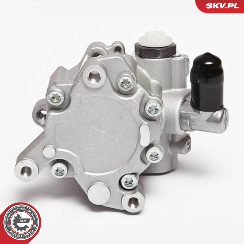 Ilustracja 10SKV043 ESEN SKV pompa hydrauliczna, układ kierowniczy