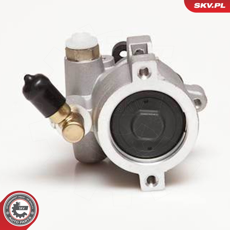 Ilustracja 10SKV055 ESEN SKV pompa hydrauliczna, układ kierowniczy