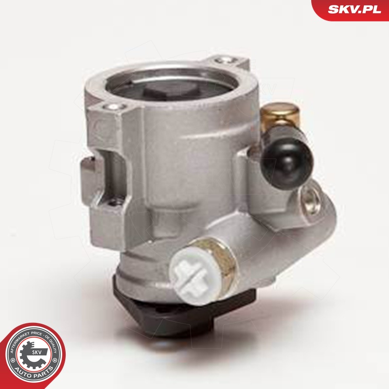 Ilustracja 10SKV055 ESEN SKV pompa hydrauliczna, układ kierowniczy