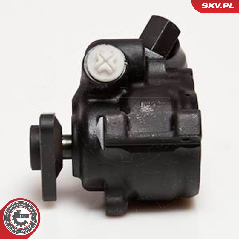 Ilustracja 10SKV056 ESEN SKV pompa hydrauliczna, układ kierowniczy
