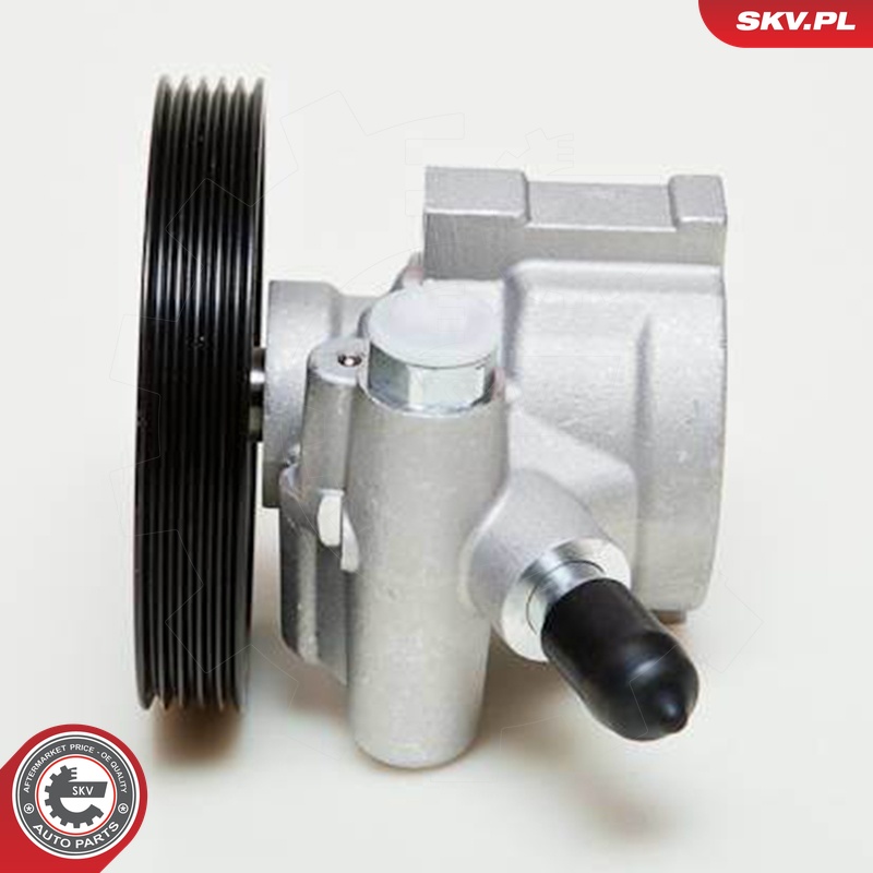 Ilustracja 10SKV057 ESEN SKV pompa hydrauliczna, układ kierowniczy