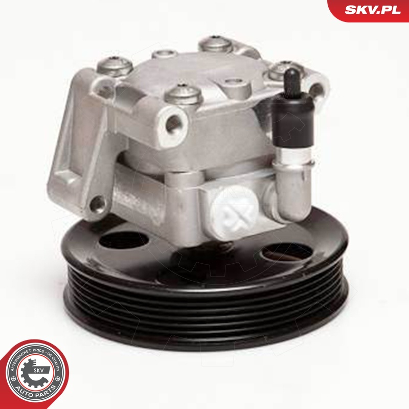 Ilustracja 10SKV050 ESEN SKV pompa hydrauliczna, układ kierowniczy