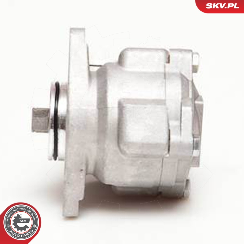 Ilustracja 10SKV051 ESEN SKV pompa hydrauliczna, układ kierowniczy