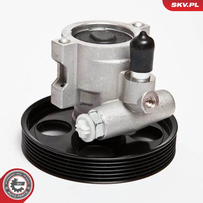 Ilustracja 10SKV069 ESEN SKV pompa hydrauliczna, układ kierowniczy
