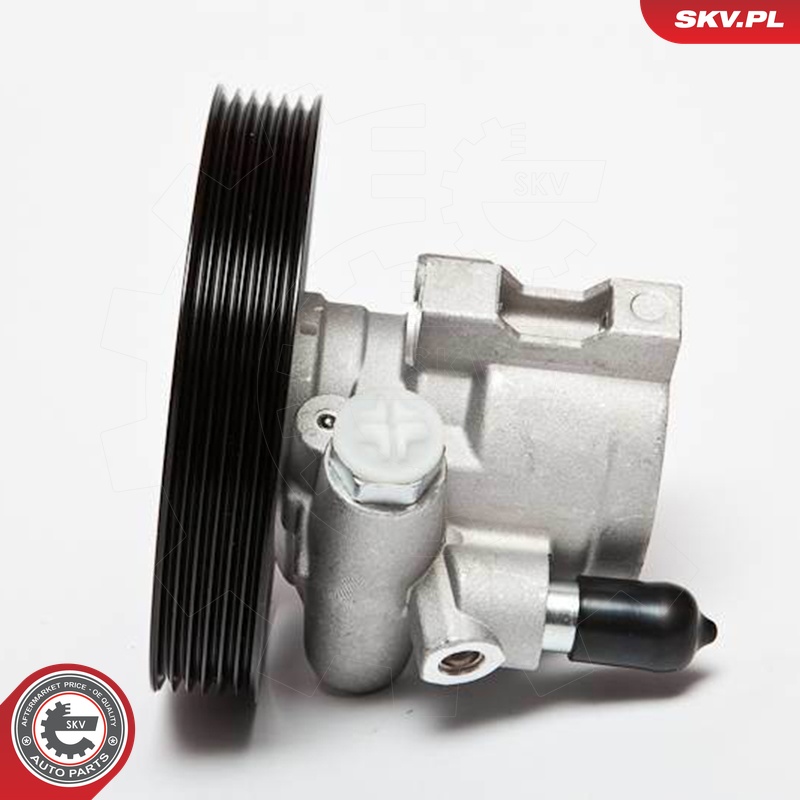 Ilustracja 10SKV069 ESEN SKV pompa hydrauliczna, układ kierowniczy