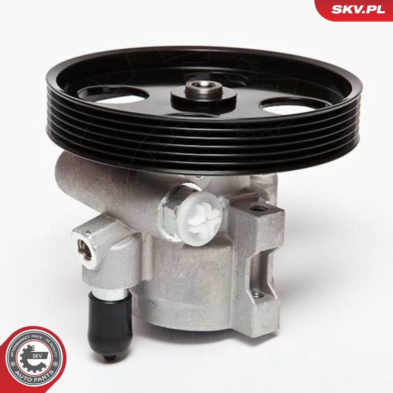 Ilustracja 10SKV069 ESEN SKV pompa hydrauliczna, układ kierowniczy