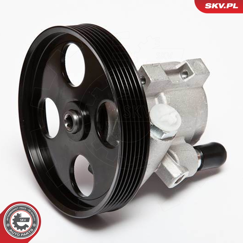 Ilustracja 10SKV069 ESEN SKV pompa hydrauliczna, układ kierowniczy