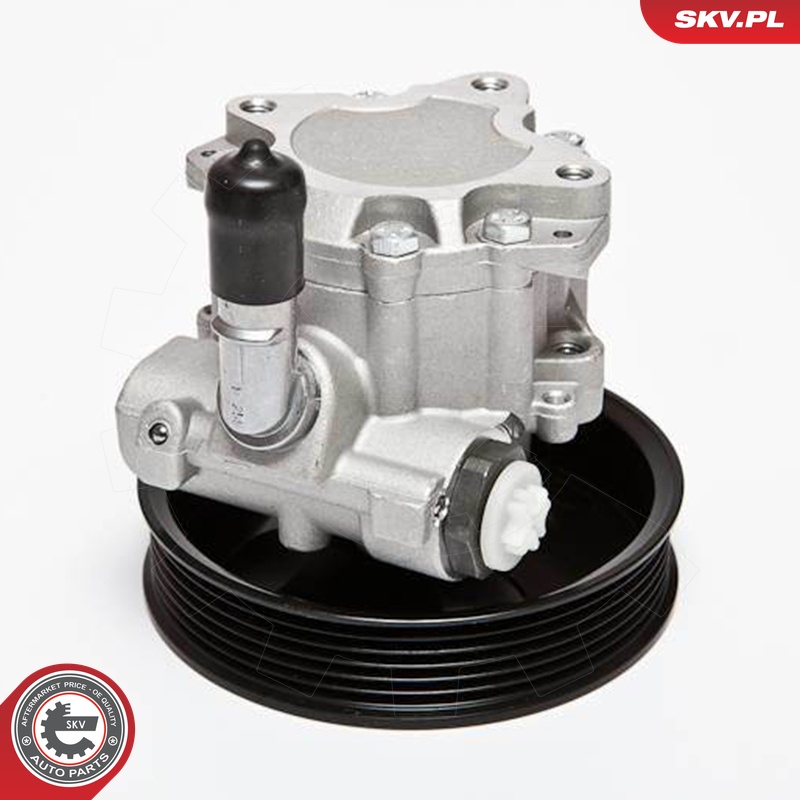Ilustracja 10SKV063 ESEN SKV pompa hydrauliczna, układ kierowniczy