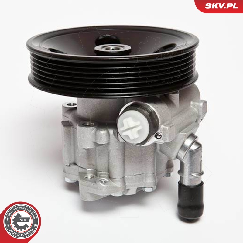Ilustracja 10SKV063 ESEN SKV pompa hydrauliczna, układ kierowniczy