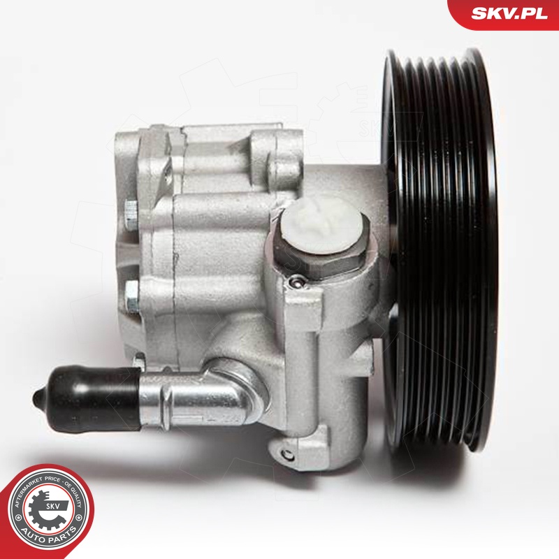 Ilustracja 10SKV063 ESEN SKV pompa hydrauliczna, układ kierowniczy