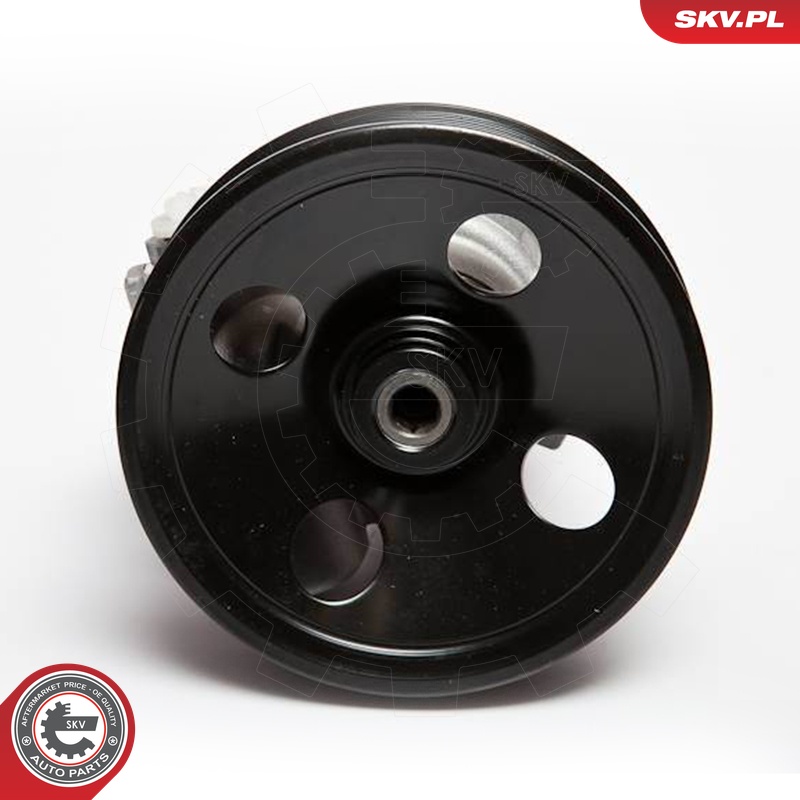 Ilustracja 10SKV063 ESEN SKV pompa hydrauliczna, układ kierowniczy
