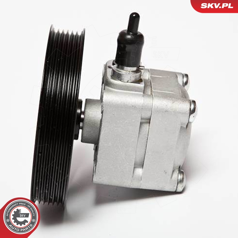 Ilustracja 10SKV074 ESEN SKV pompa hydrauliczna, układ kierowniczy