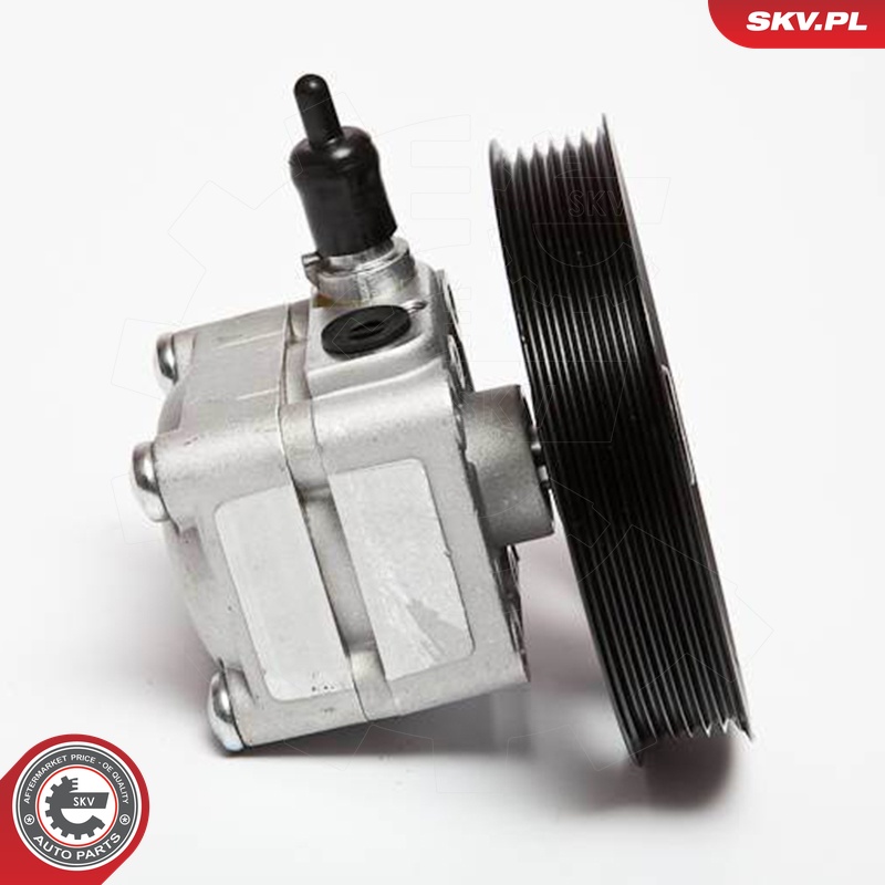 Ilustracja 10SKV074 ESEN SKV pompa hydrauliczna, układ kierowniczy
