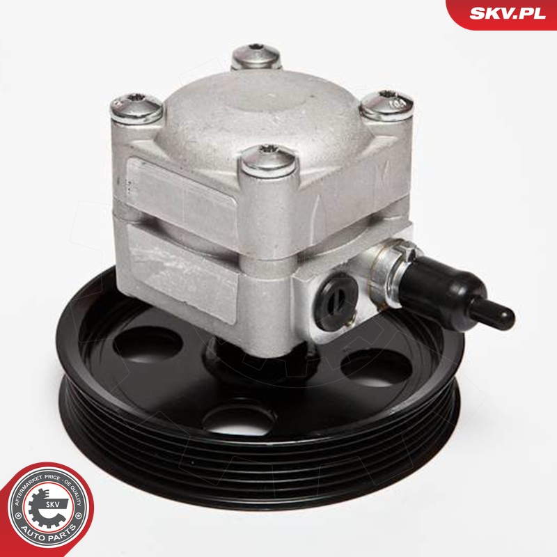 Ilustracja 10SKV074 ESEN SKV pompa hydrauliczna, układ kierowniczy