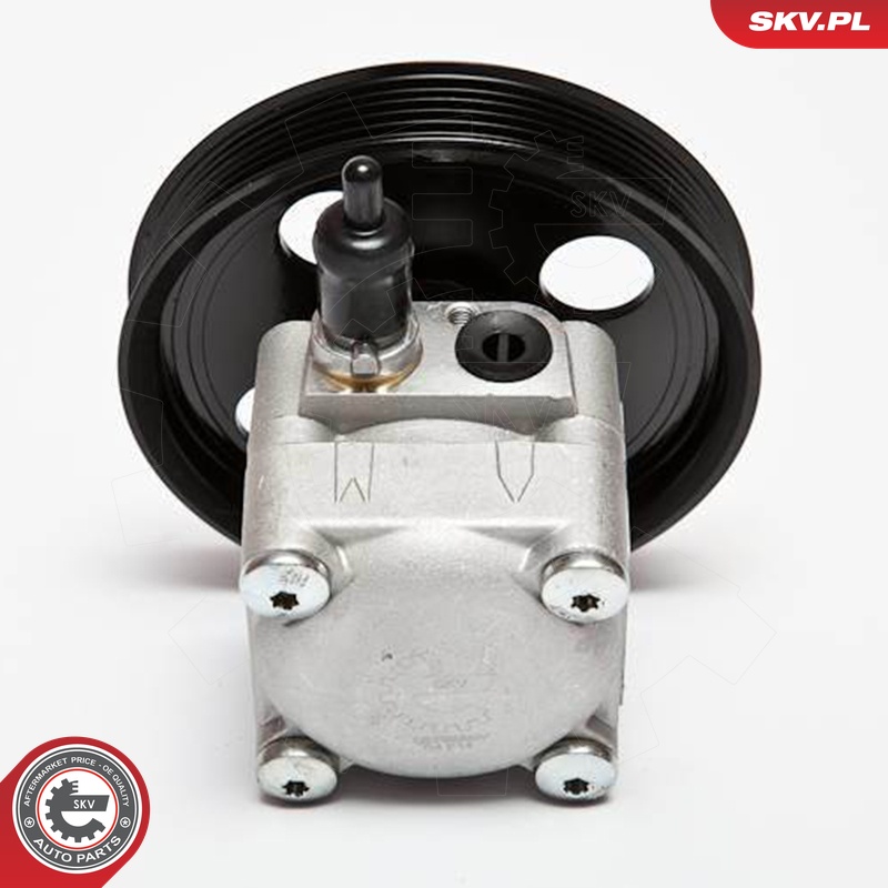 Ilustracja 10SKV074 ESEN SKV pompa hydrauliczna, układ kierowniczy