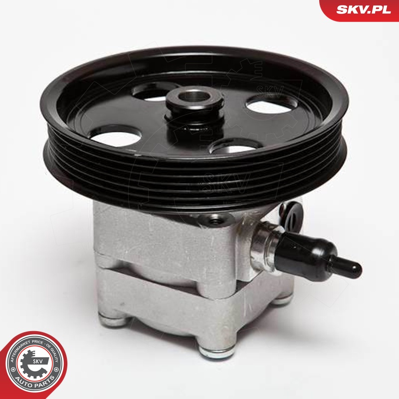 Ilustracja 10SKV074 ESEN SKV pompa hydrauliczna, układ kierowniczy