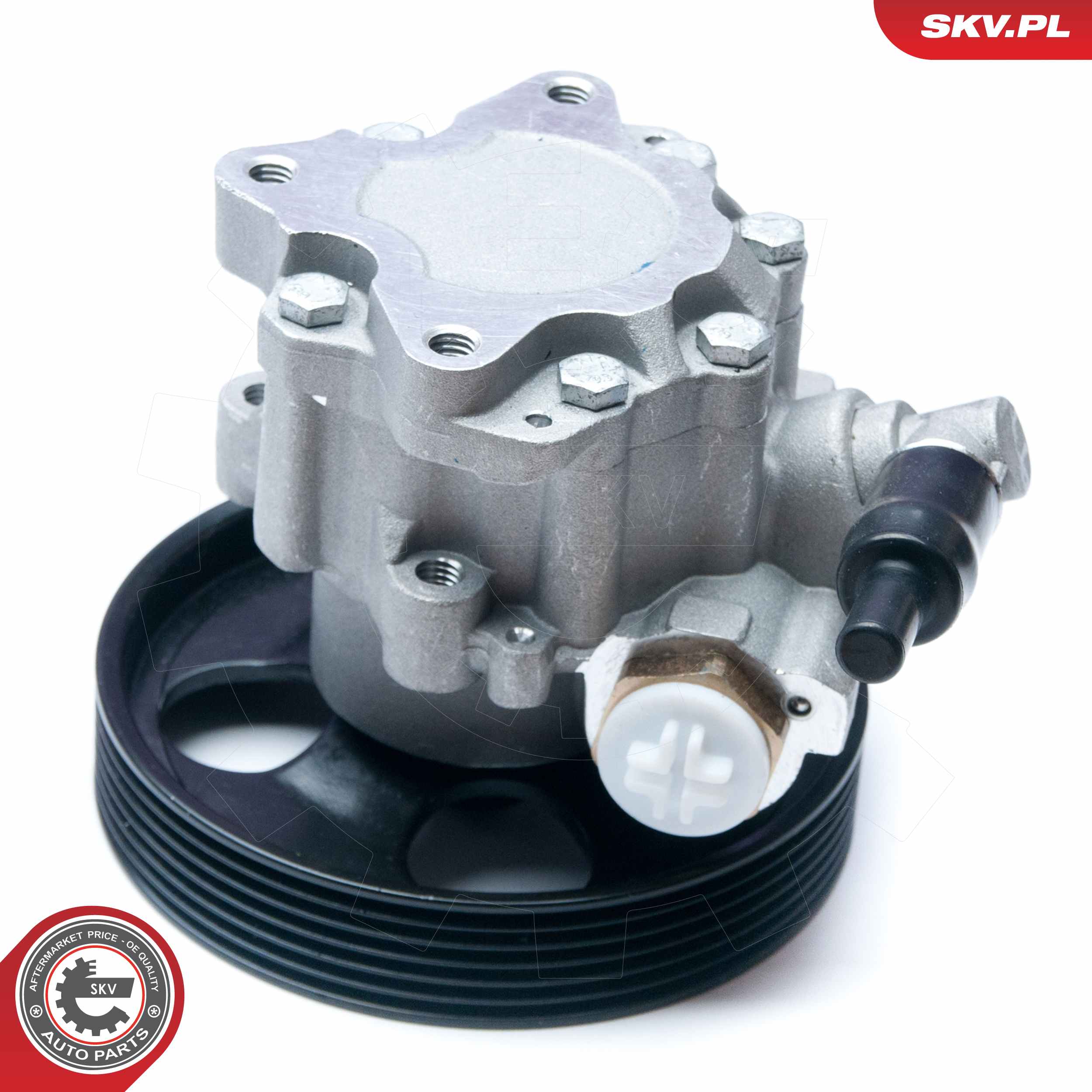 Ilustracja 10SKV073 ESEN SKV pompa hydrauliczna, układ kierowniczy