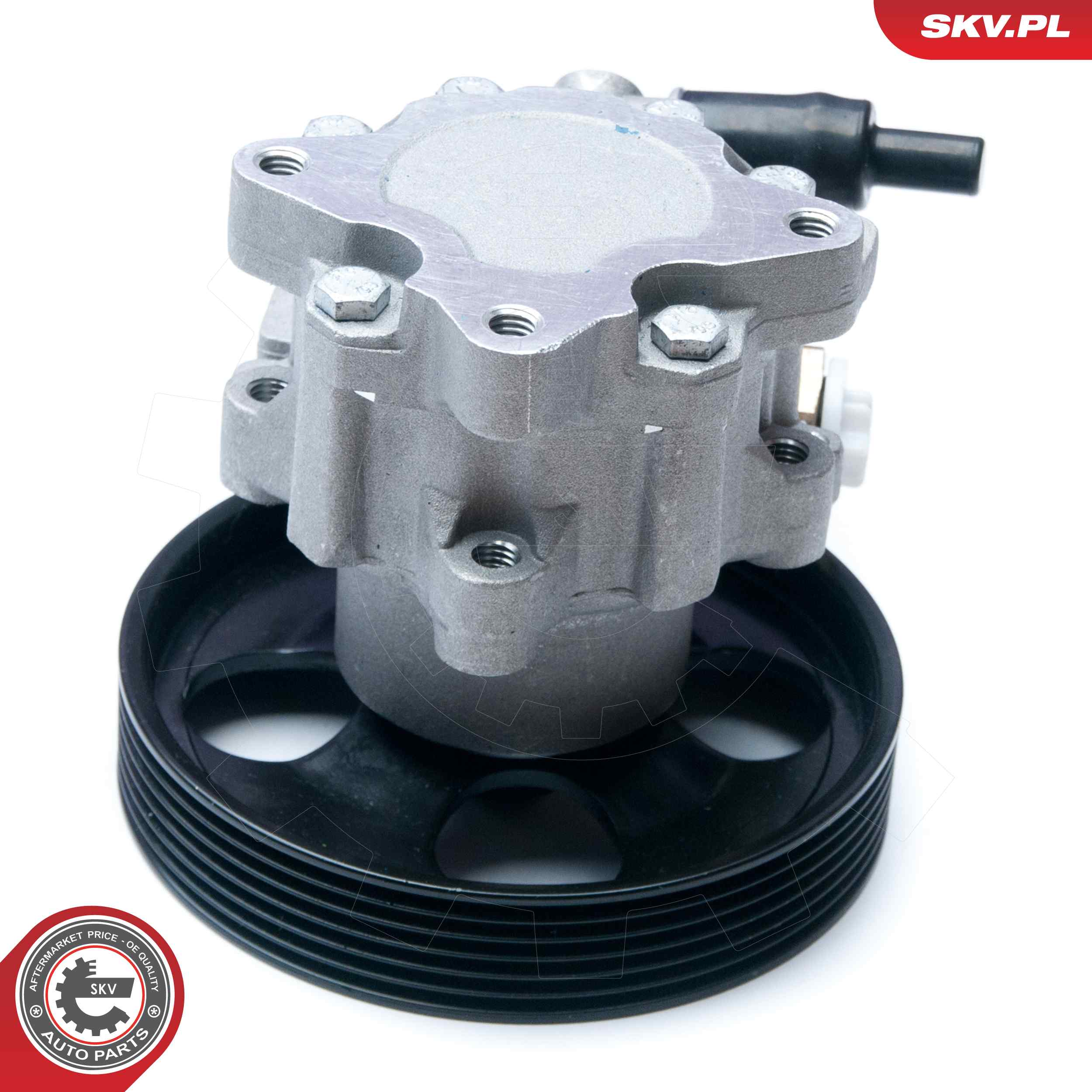 Ilustracja 10SKV073 ESEN SKV pompa hydrauliczna, układ kierowniczy