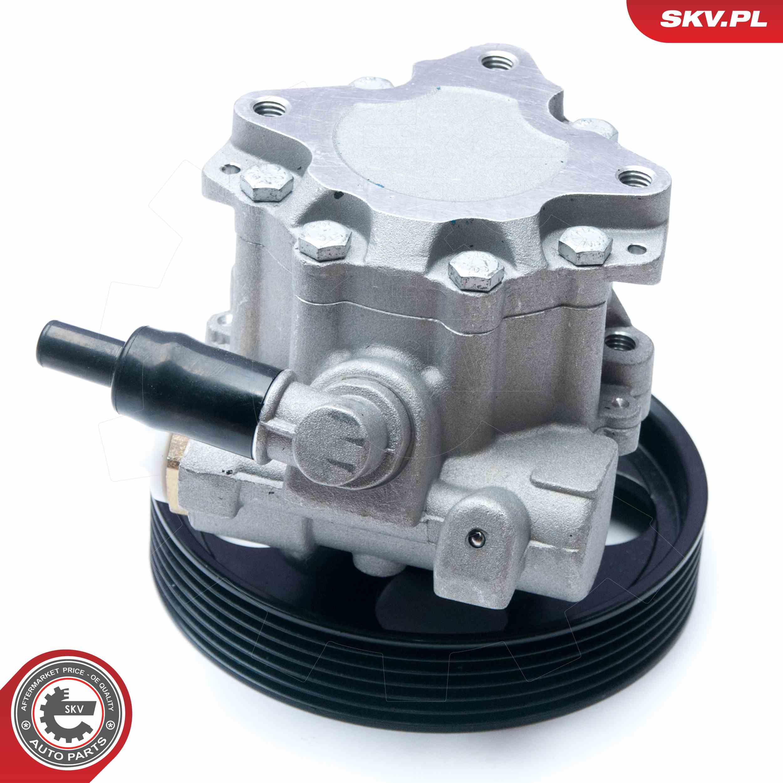 Ilustracja 10SKV073 ESEN SKV pompa hydrauliczna, układ kierowniczy