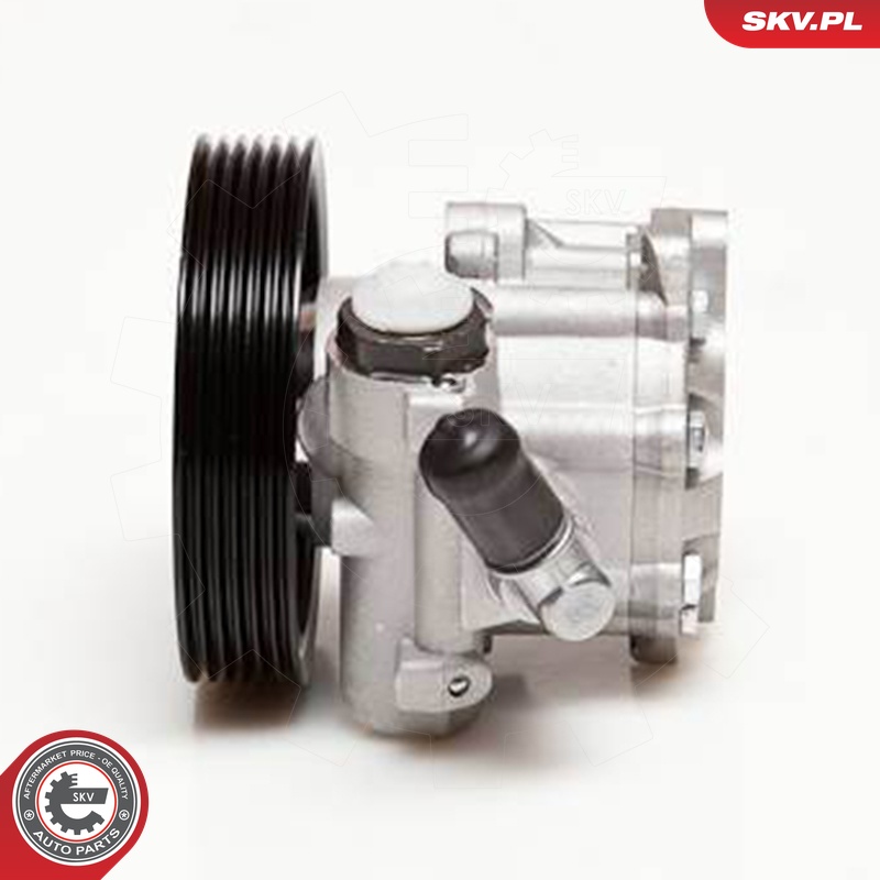 Ilustracja 10SKV098 ESEN SKV pompa hydrauliczna, układ kierowniczy
