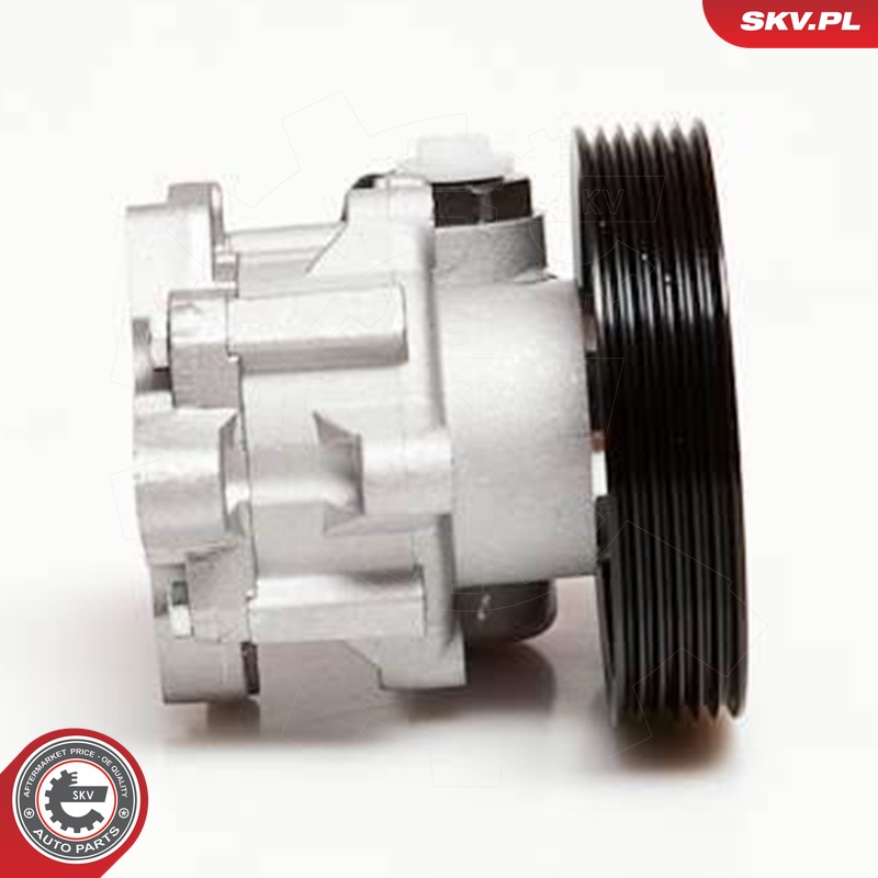 Ilustracja 10SKV098 ESEN SKV pompa hydrauliczna, układ kierowniczy