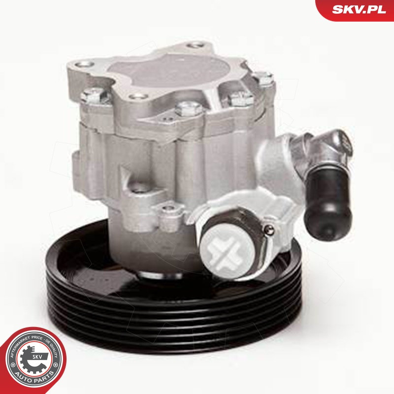 Ilustracja 10SKV098 ESEN SKV pompa hydrauliczna, układ kierowniczy