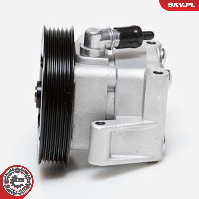 Ilustracja 10SKV091 ESEN SKV pompa hydrauliczna, układ kierowniczy