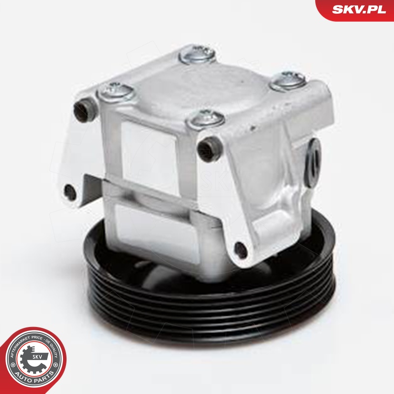 Ilustracja 10SKV091 ESEN SKV pompa hydrauliczna, układ kierowniczy